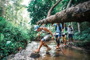 BIB: 
                            <button type="button" onclick="openModal(25370230)" class="btn btn-primary btn-sm float-right btn-popup" data-toggle="modal" data-target=".modal-high-quality">
                        <i class="fas fa-shopping-cart"></i> Add to Cart
                    </button>
                                            <button type="button" onclick="isThisMe(25370230, true)" class="btn btn-success btn-sm float-right btn-popup btn-isme hidden" data-toggle="tooltip" data-placement="bottom" title="นี่คือรูปของคุณใช่ไหม คลิกที่นี่เพื่อเอาเข้าอัลบั้ม">
                        <i class="fas fa-plus"></i> Add to album
                    </button>
                    <button type="button" onclick="isThisMe(25370230, false)" class="btn btn-warning btn-sm float-right btn-popup btn-isnotme hidden">
                        <i class="fas fa-ban"></i> Remove from album
                    </button>